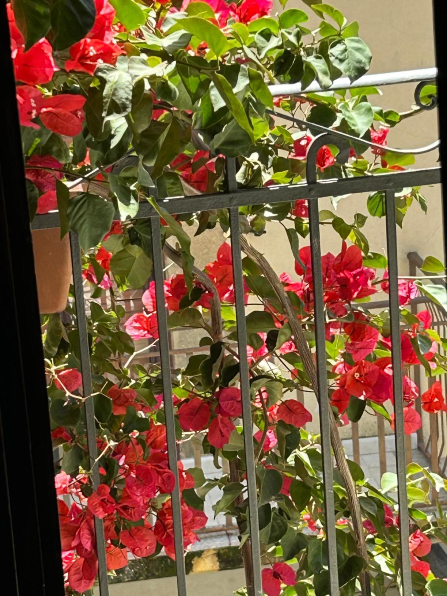B&B L'Angolo Sulla Piazza Mirabella Imbaccari Bagian luar foto