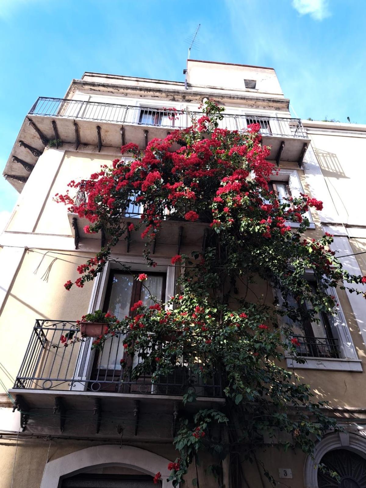 B&B L'Angolo Sulla Piazza Mirabella Imbaccari Bagian luar foto